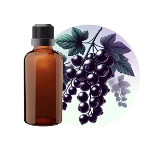 Black Currant