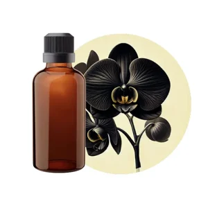 Black Orchid
