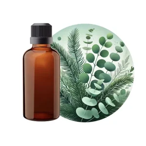Coniferous Eucalyptus