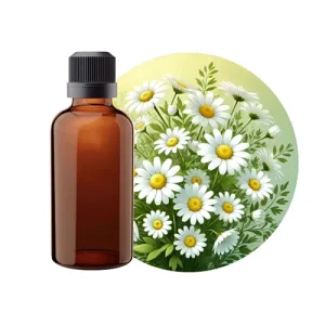 Daisy Flower Pharmacy