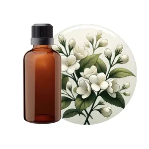 Jasmine Egyptian