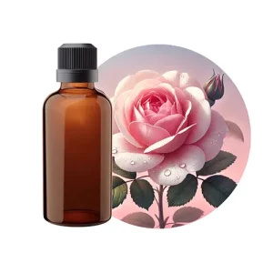 Bulgarian Rose